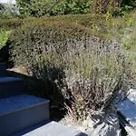아파트 Tiny Stone Maredret