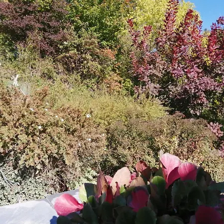 Apartment Tiny Stone *