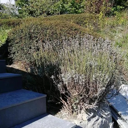 Apartment Tiny Stone Maredret