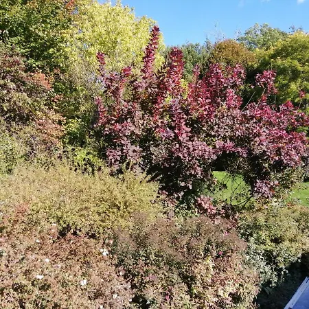 Apartment Tiny Stone Maredret