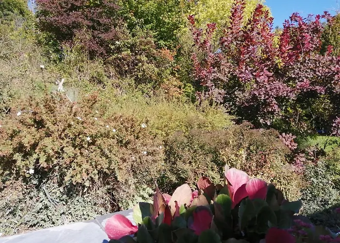 Διαμέρισμα Tiny Stone *