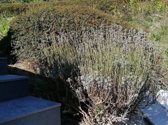 Appartement Tiny Stone Maredret