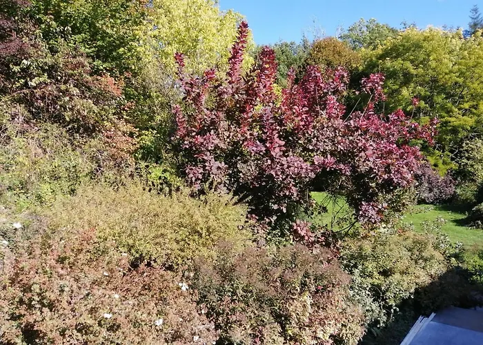 Διαμέρισμα Tiny Stone Maredret